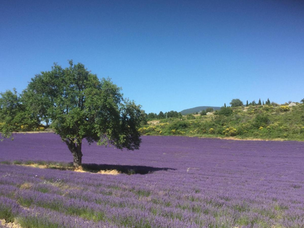فيلا Le Jardin De Lau أوبيغنان المظهر الخارجي الصورة
