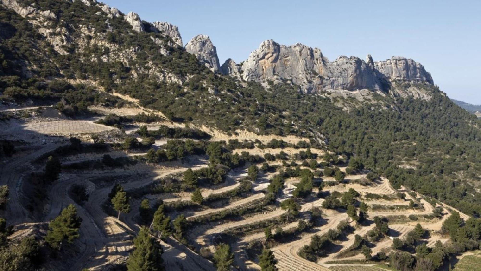 فيلا Le Jardin De Lau أوبيغنان المظهر الخارجي الصورة