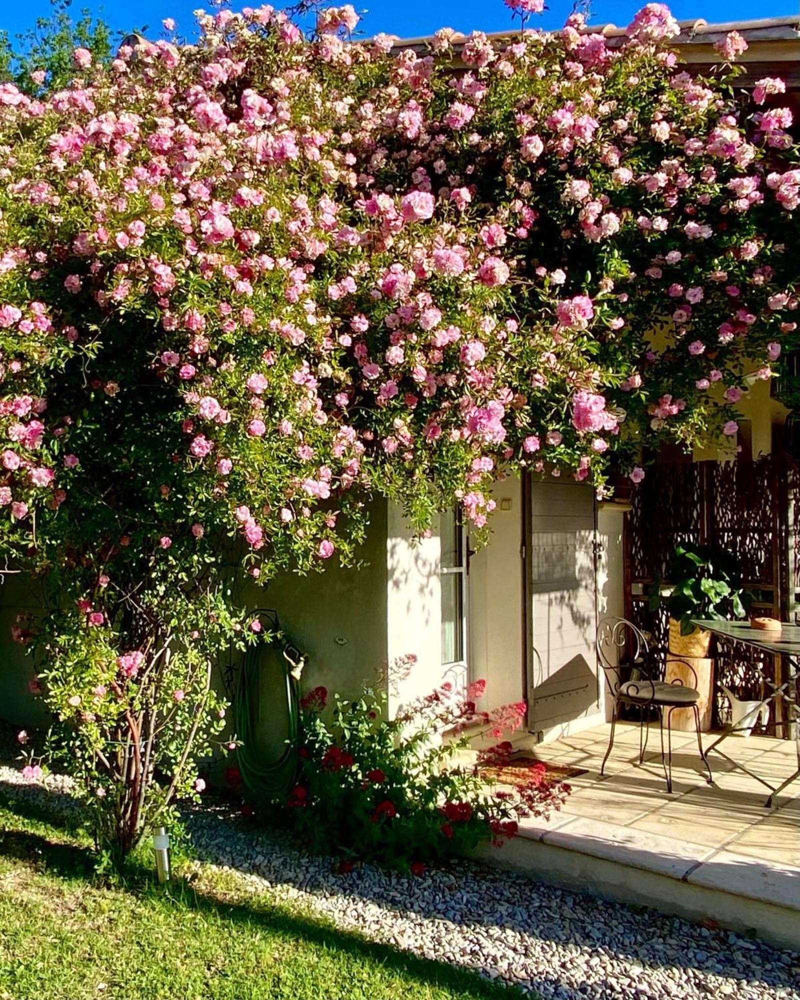 فيلا Le Jardin De Lau أوبيغنان المظهر الخارجي الصورة