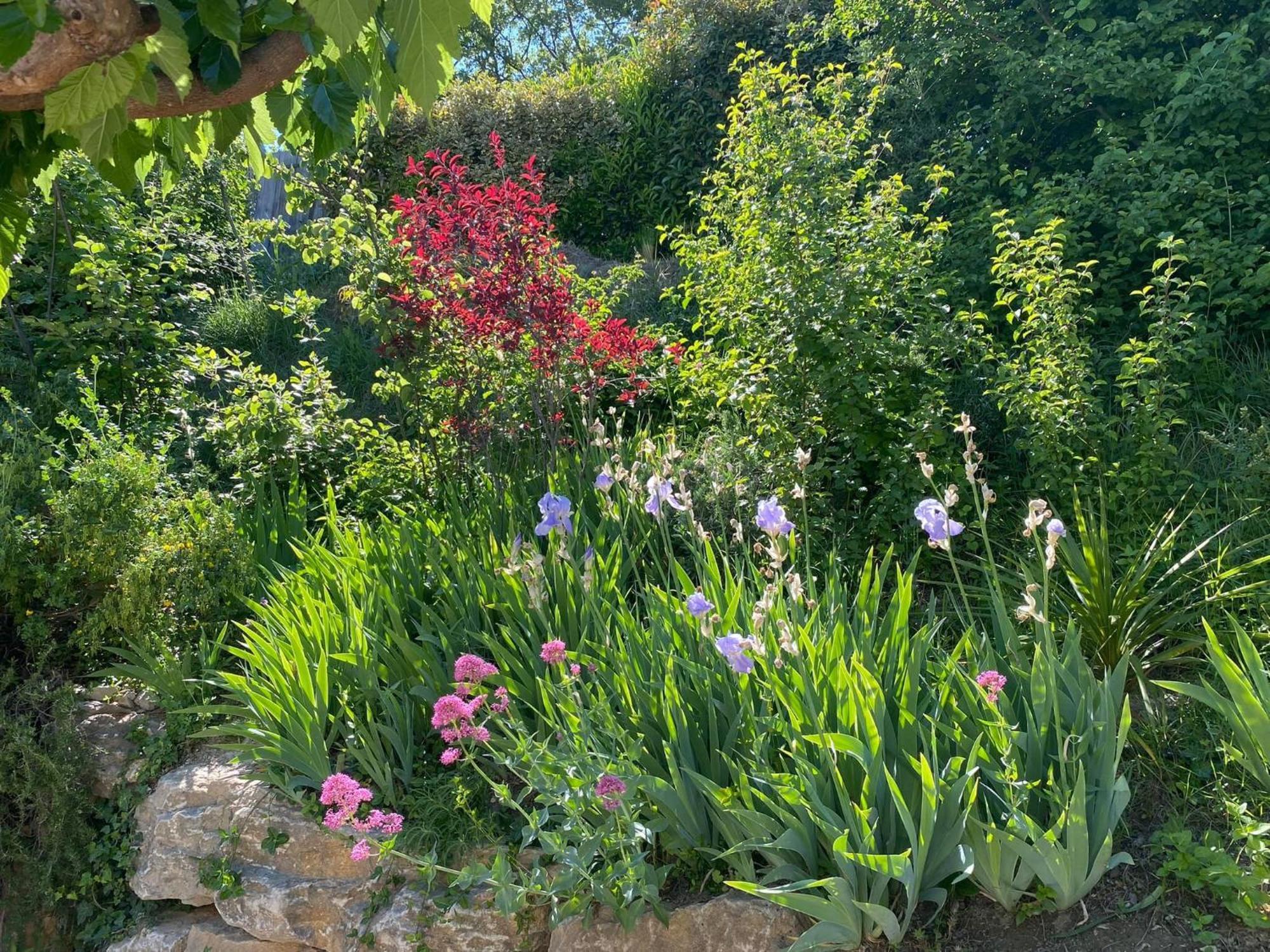 فيلا Le Jardin De Lau أوبيغنان المظهر الخارجي الصورة